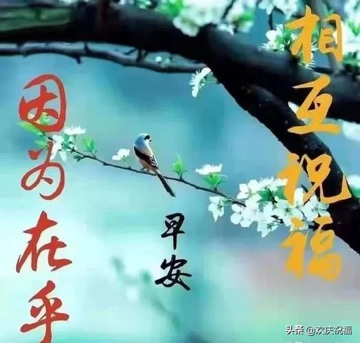 唯美祝福语句：短而美丽的26个字