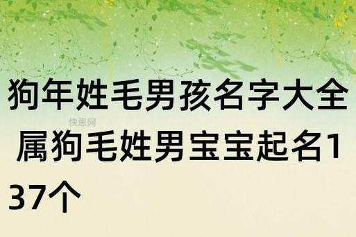 姓毛的男宝宝取名大全_姓毛的男宝宝取名大全两个字