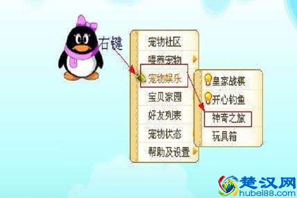 qq宠物名字_qq宠物名字可爱洋气