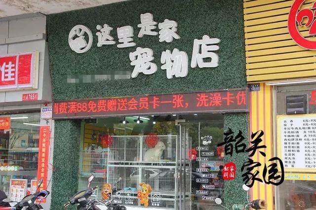 洋气的宠物店名_洋气的宠物店名字大全