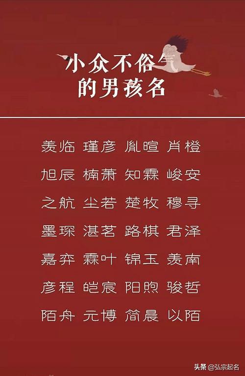 给男孩小宝宝取名字_