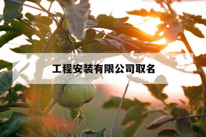 安装公司起名字大全_安装公司起名字大全免费