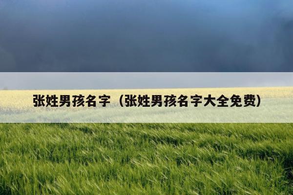 张姓属羊召字辈的宝宝取名_属羊张姓男孩名字大全