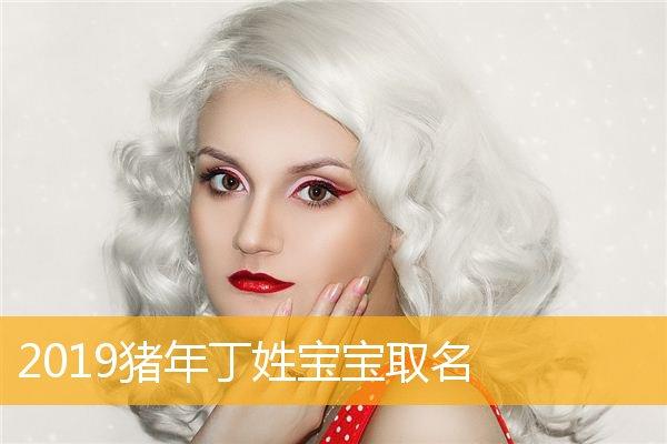 2019丁姓男宝宝取名_