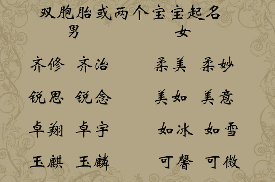 猪年双胞胎男宝宝取名雨字开头_