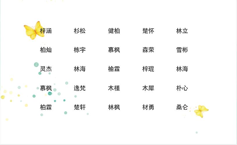 带木字旁的男宝宝取名字大全_带木字旁的男宝宝取名字大全集