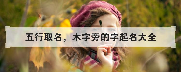 带木字旁的男宝宝取名字大全_带木字旁的男宝宝取名字大全集