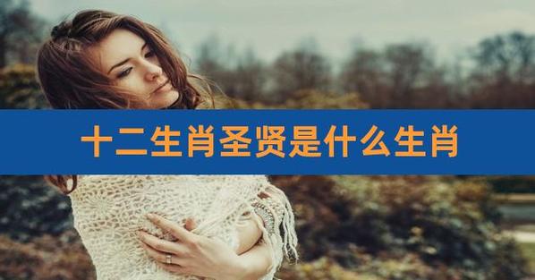 贤人君子是什么生肖，落实精选答案