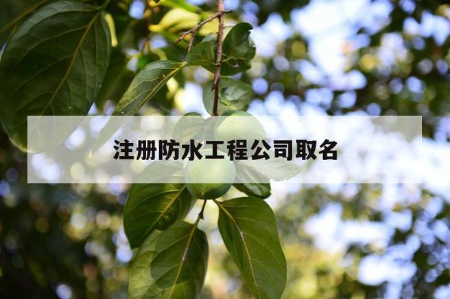 给防水公司起名字_给防水公司起名字大全