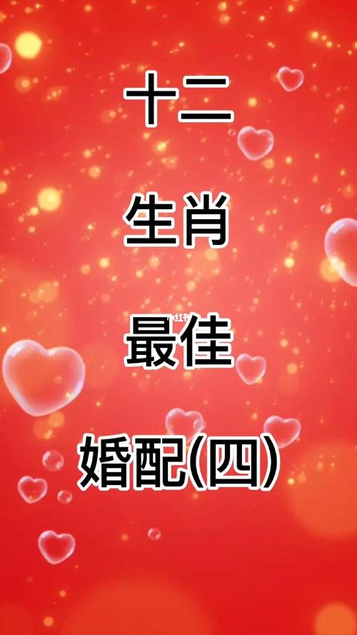 好三好四是什么生肖，落实精选答案