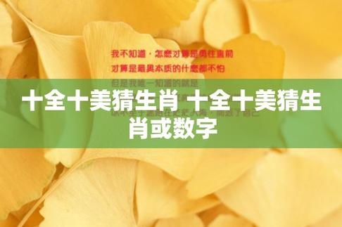 十全十美是指什么生肖，落实精选答案