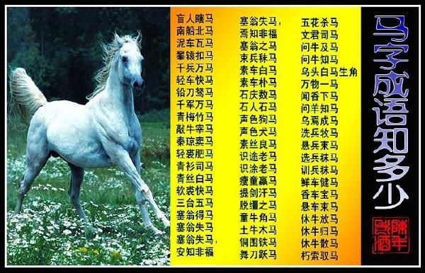 金戈铁马是指什么生肖，落实精选答案