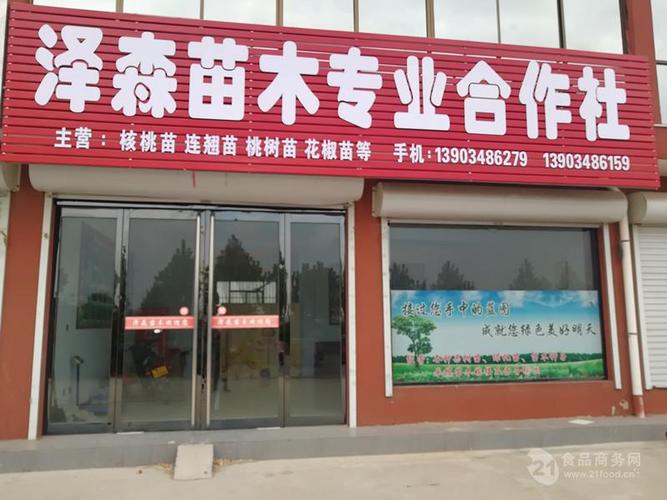 苗木店名_苗木店名叫什么