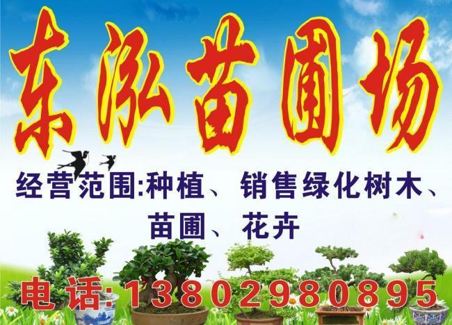 苗木店名_苗木店名叫什么