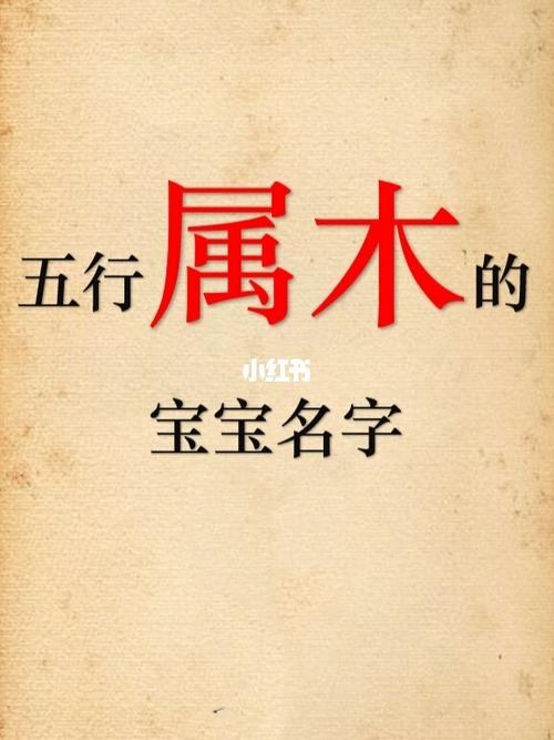 木命的人开公司起名字_木命的人开公司起什么名字