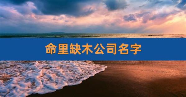 木命的人开公司起名字_木命的人开公司起什么名字