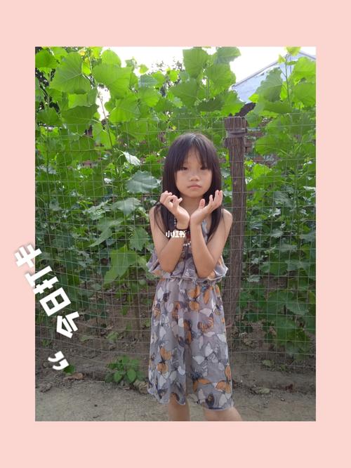 李可馨_李可馨个人简介