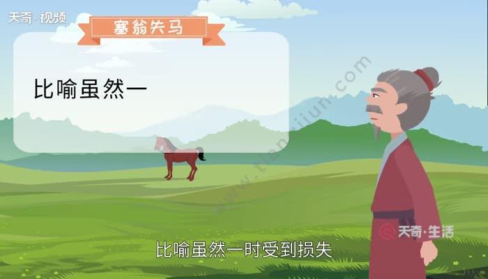 塞翁失马是什么生肖，落实精选答案