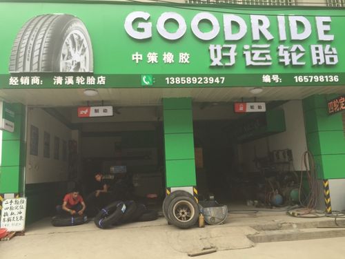 求轮胎店名_