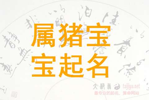 猪的男宝宝取名应带那些字_猪的男宝宝取名应带那些字