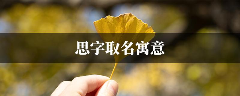 思字宝宝取名_思字宝宝取名寓意