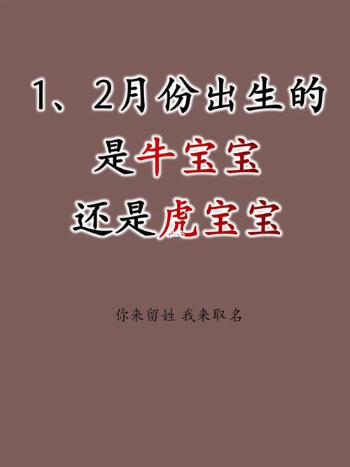 虎宝宝 牛宝宝取名大全_虎宝宝牛宝宝哪个好
