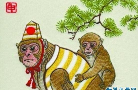 线抽傀儡是指什么生肖，落实精选答案