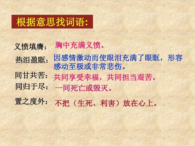 割须换袍是指什么生肖，词语解释落实