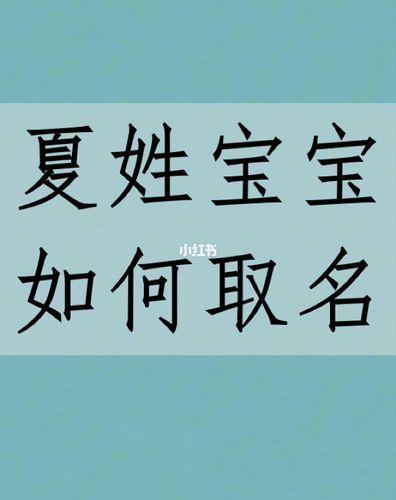 带夏宝宝取名大全_