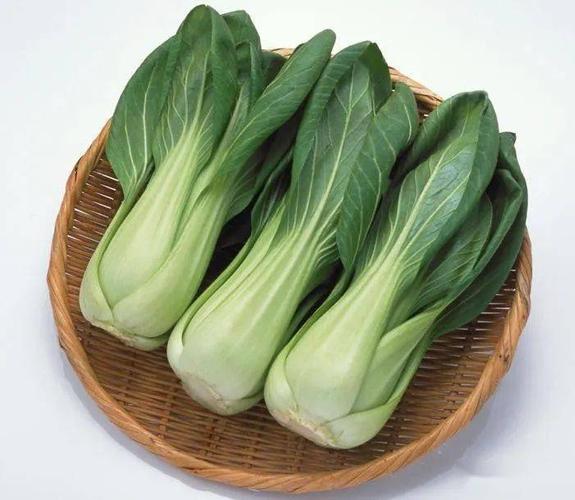 一份青菜面三个菜包是什么生肖，落实精选答案