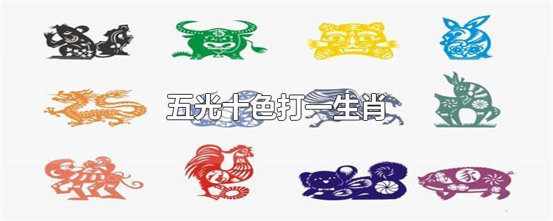 五光十色是什么生肖，落实精选答案