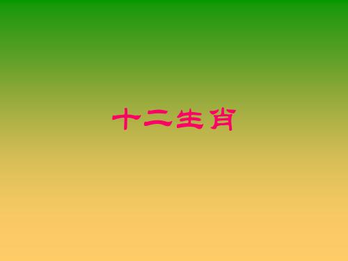 五光十色是什么生肖，落实精选答案