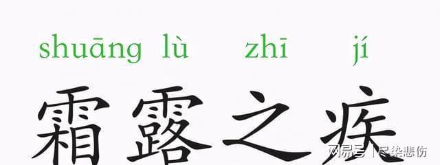 霜露之疾是什么生肖，词语精选落实