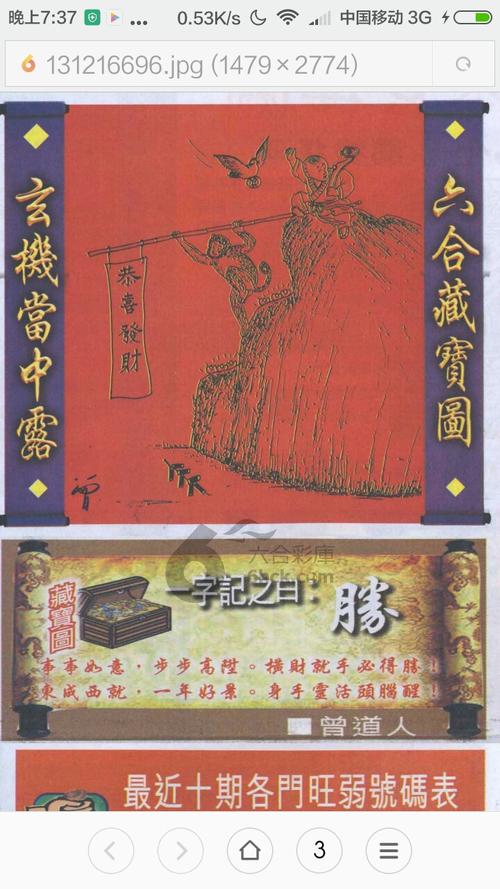 直入云霄是什么生肖，谜底解答落实