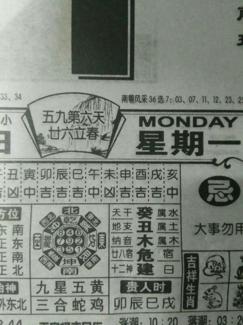 直入云霄是什么生肖，谜底解答落实
