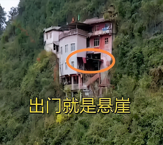 农民视它家中宝是什么生肖，谜底解答落实