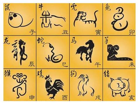 【家中居住生肖属金又逢何种生肖？】