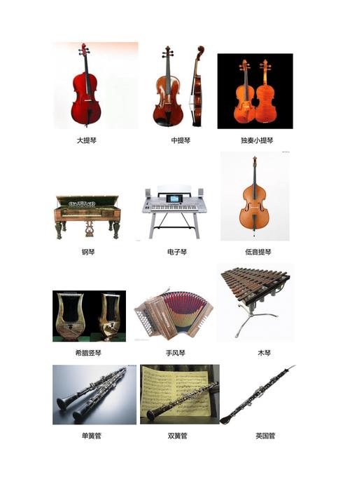 乐器名称大全_乐器名称大全图片名称