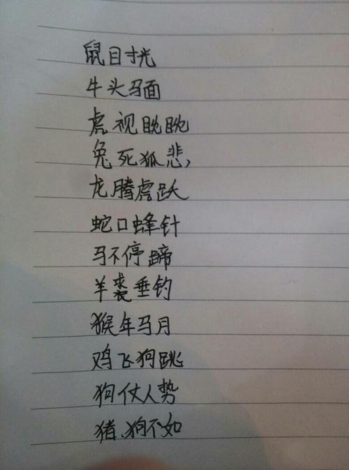 笑不出来是指什么生肖，成语解释落实