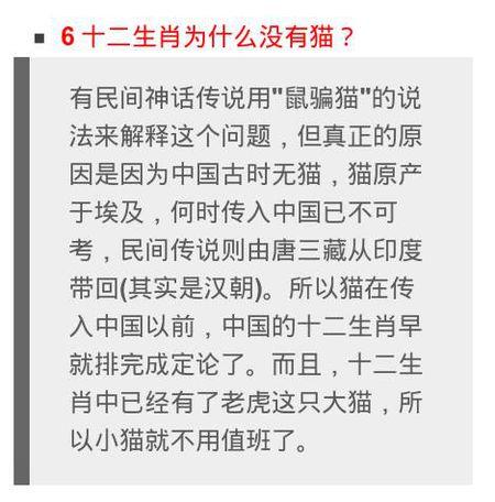 大小猫是什么生肖，词语解释落实