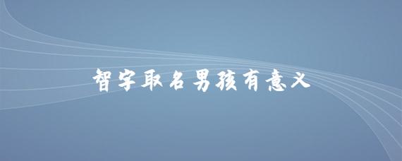 男宝宝取名智什么意思_