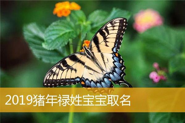 禄宝宝取名带禄_
