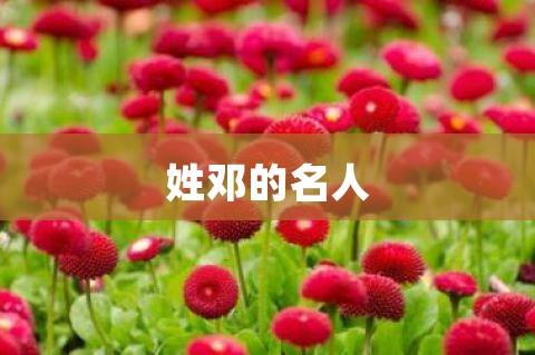 姓邓的名人_姓邓的名人有谁?