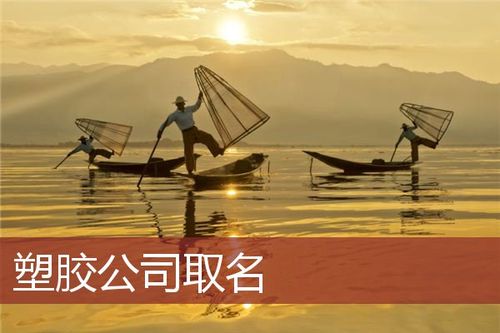 实业发展公司起名字_