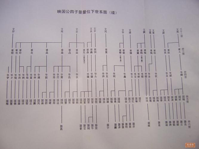 族谱_族谱家谱格式