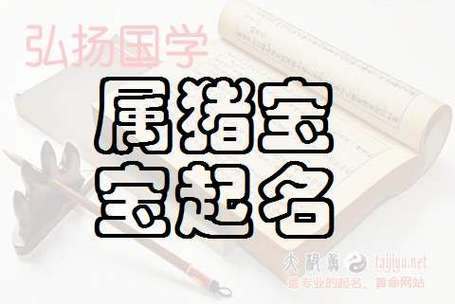 姓金的猪男宝宝取名_姓金的猪男宝宝取名大全