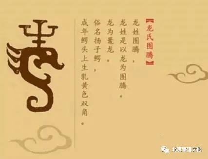 姓龙的名人_姓龙的名人有哪些