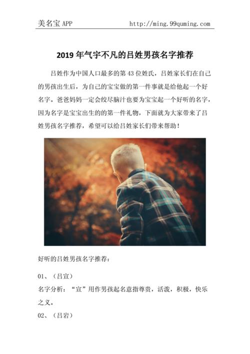 2019年给吕姓男宝宝取名_2019年给吕姓男宝宝取名字