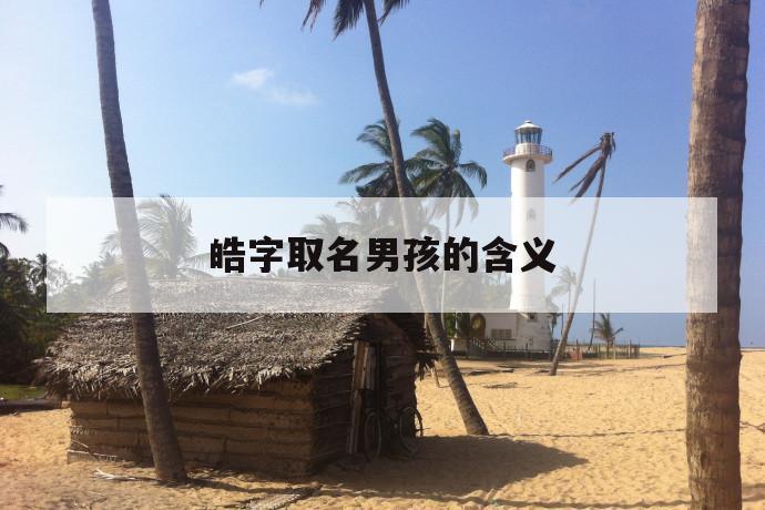 宝宝取名皓什么意思是什么_取名字皓的意思
