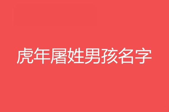 姓孟男宝宝取名_姓孟男宝宝取名字大全集2022虎年